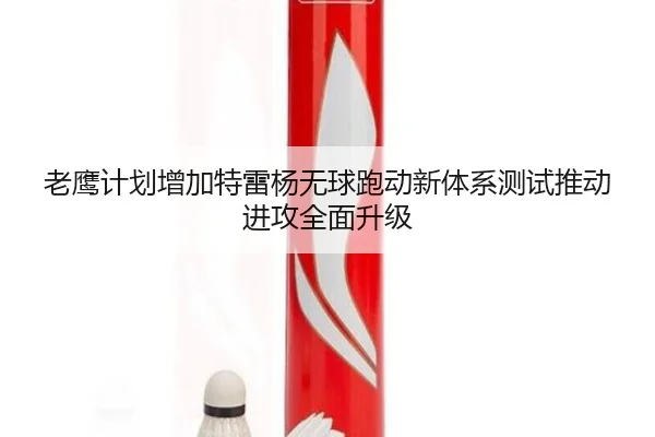 老鹰计划增加特雷杨无球跑动新体系测试推动进攻全面升级